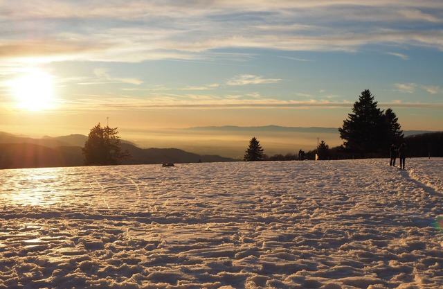 Apartment in Waldkirch-Kollnau near Freiburg with a beautiful view