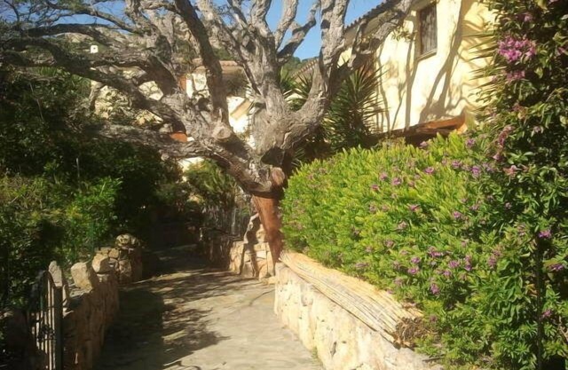 Apartment/flat - Loiri Porto San Paolo