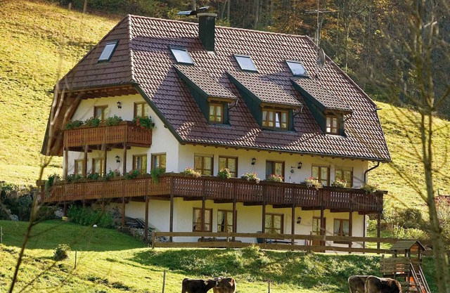 Apartment Morgensonne with 48 sqm, 1 bedroom for max. 2 people