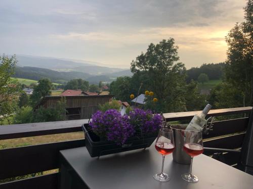 Apartment Tälerblick Maxi -NEU MODERNISIERT-