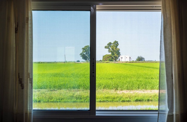 Apartment Villa Manoli within the Natural Park of Ebro Delta