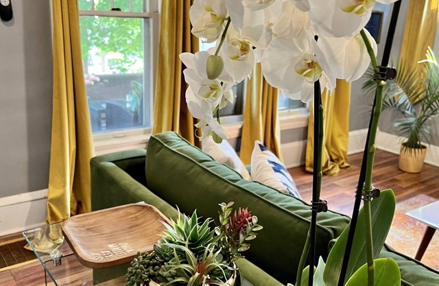 Apartment with a boho, relaxed and soulful vibe in the heart of Highland Square.