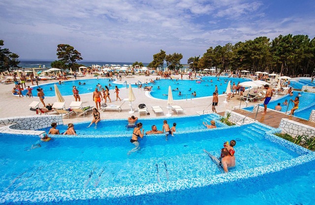 Apartments in Zaton With Pool