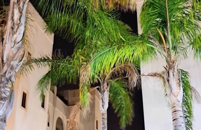 Appartamento in città,dotato di tutti i comfort,creato con stile,luminoso,pulito