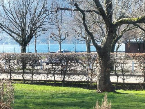 Appartement : Aix les bains face au lac
