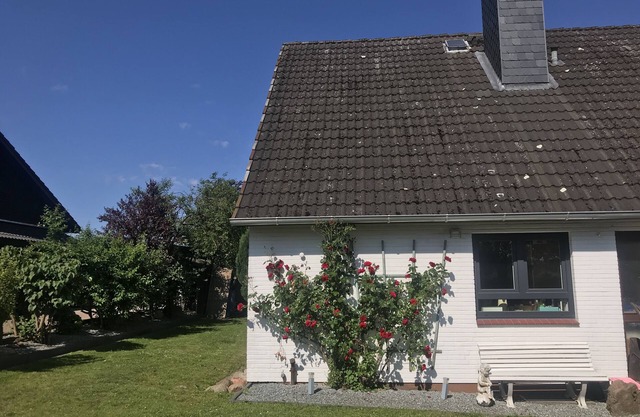 Appartement Fernsicht/Wangels/Bungsberg/Ruhe/Wandern/Hohwachter Bucht
