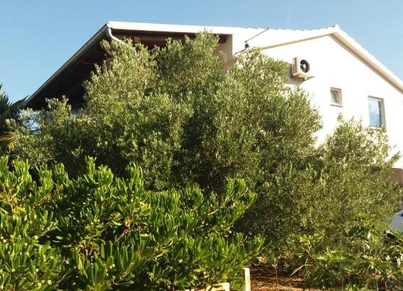 appartement Juras 2