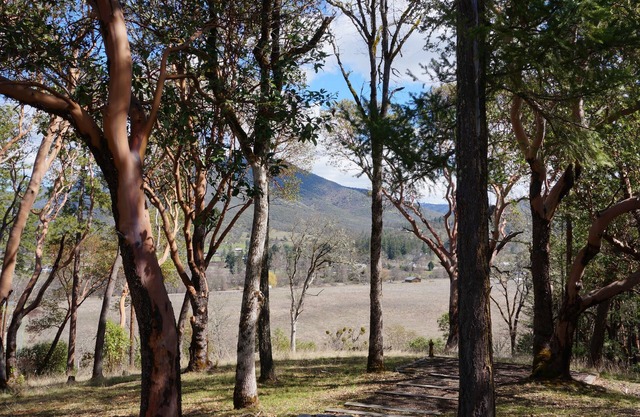 Applegate Valley Peaceful Cottage