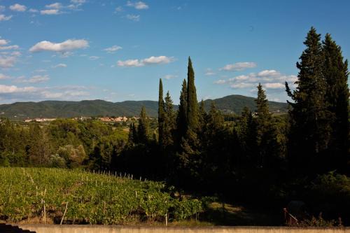 Apt Alice - Apartment in the Vineyards