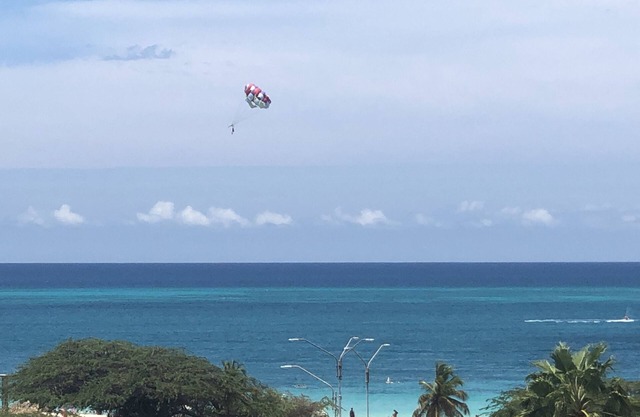 Aqua View - Spectacular Ocean Front Luxury Condo at Levent, Eagle Beach - Aruba