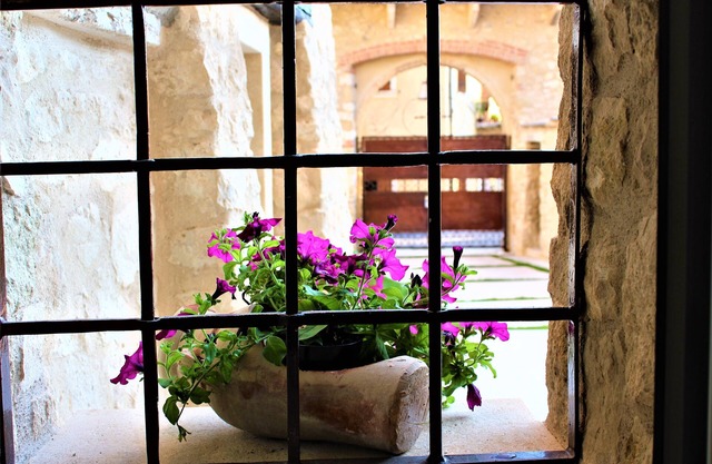 Arco di Vino - Tourist Location