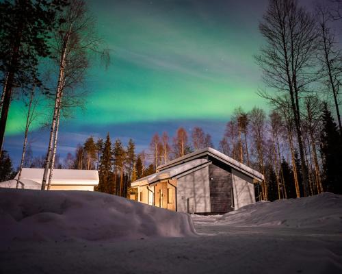 Arctic Hideout