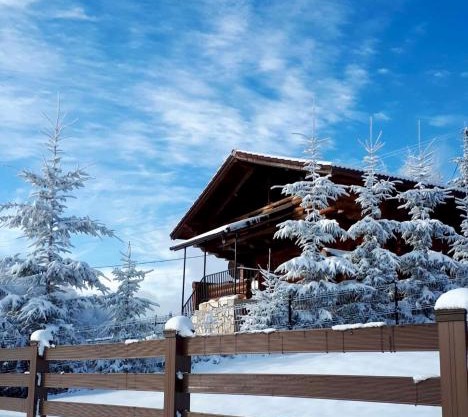 Artem Chalet