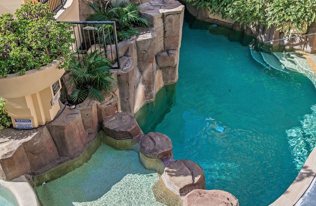 Asiatic Suite at Nautilus Mooloolaba