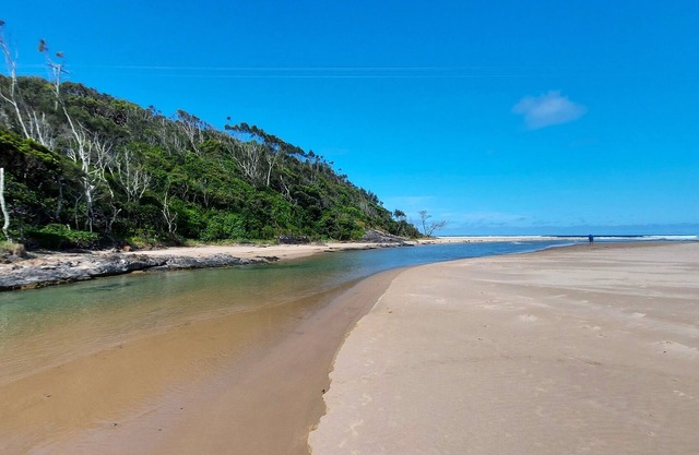 At the edge of a little Rain Forest... A short walk thru - your on Safety Beach