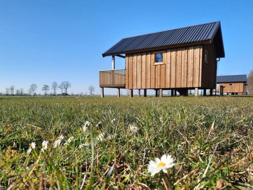 Atmospheric lodge with unobstructed view located in beautiful Drenthe