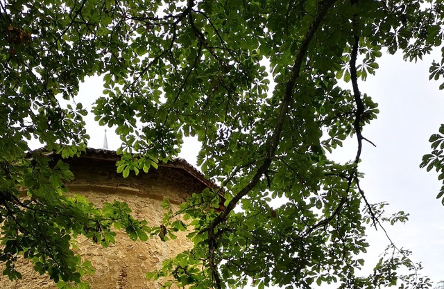 Atypical charming cottage for 4 pers. a dovecote and a barn drômois