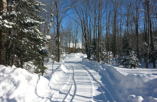 Authenic Amish built log cabin on 3,300 acre Gile Flowage. All Modern Amenities