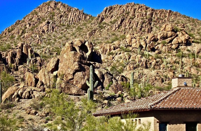 Authentic Tucson Experience: Mud Adobe Casita Nestled in Canyon Among Wildlife
