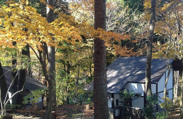 Autumn leaves picking ♪ Nikko sightseeing base ♪ One station cottage can be reached by train!100 minutes by limited express from Kitasenju ♪ 4 minutes walk from station ♪ There is a lot of nature near the station.Kinugawa Onsen is cheaper than the expe...