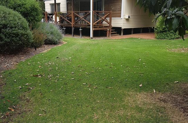 Avoca Farm Chalet - Youngs Siding.
