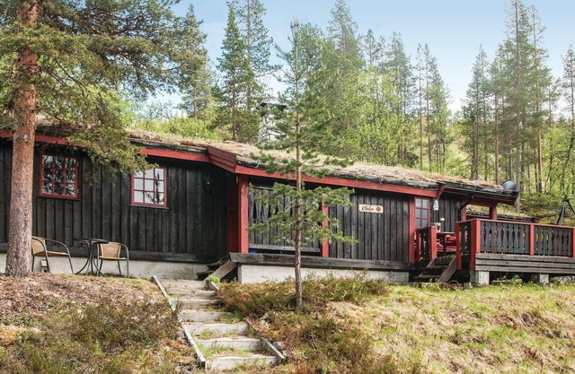 Awesome home in Rendalen with kitchen