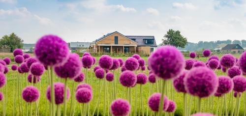 B&B de Cley