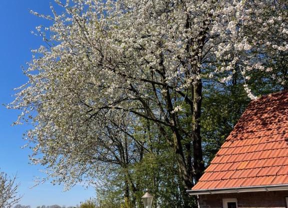 B&B Driel