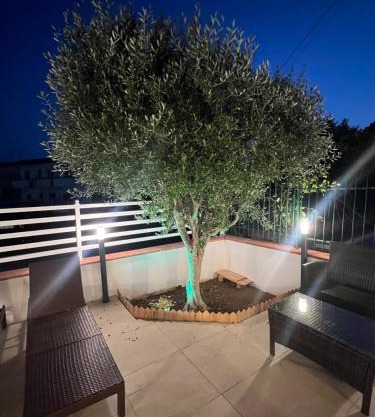 B&B L Ulivo