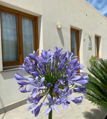 B&B La mia Isola