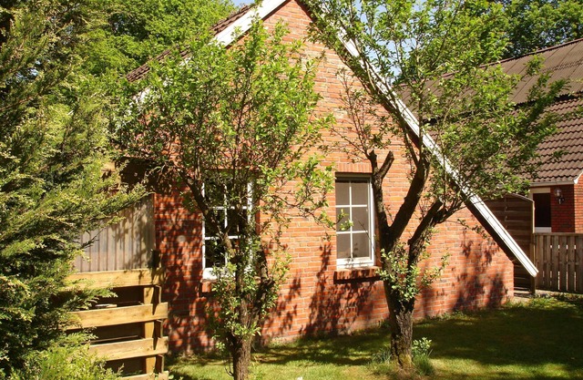 Backhaus 35228 - Holidays in the country - Hagedorn's Ponyhof 35143