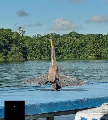 Backpakers Tortuguero Princesa del Río