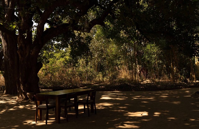 Bagh Tola, Bandhavgarh
