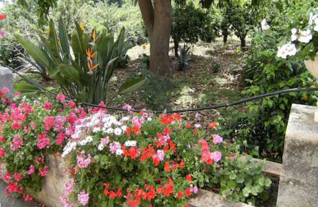 Baglio delle Rose
