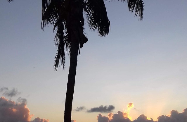 Bahama Breeze Waterfront Luxury Detached Vacation Home