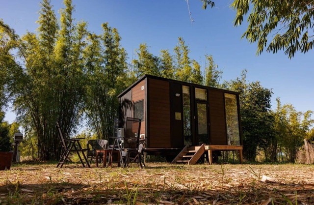 Bamboo Grove by Tiny Away
