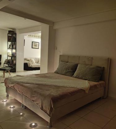Basement Suite
