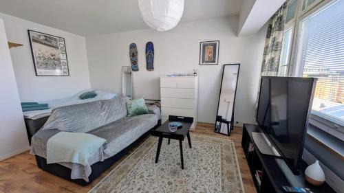 Basic 1 room apt in city center