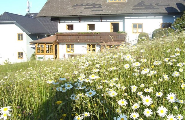 Bauernhof Minabauer - Vacation Apartment Apartment Farm