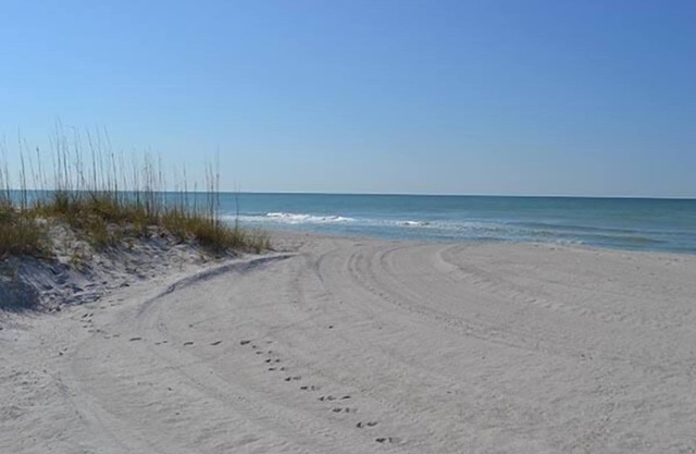 Beachcomber unit 405