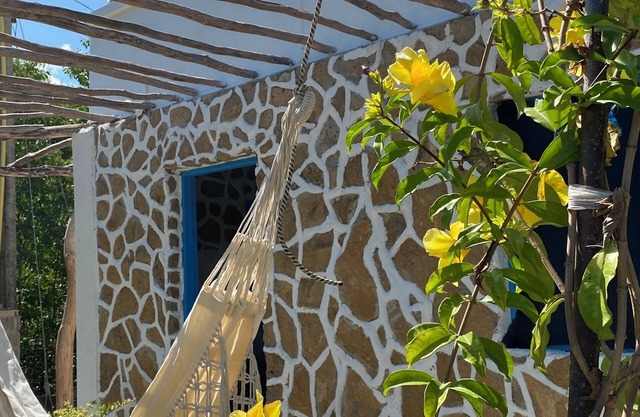 Beachfront cottage