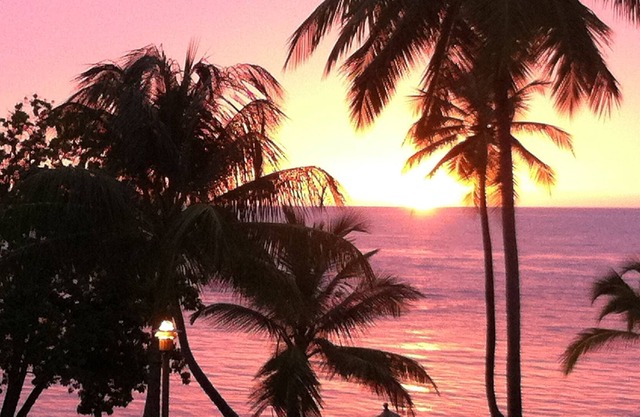 Beachfront Private Condo, Wifi, full A/C, screens, sleeps 6.