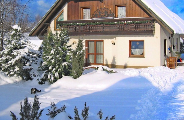 Beautiful Apartment in Pöhla Saxony near Ski Area