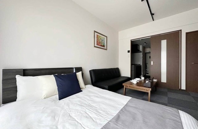 Beautiful 1 BR New Apt City Center for 3 Ppl