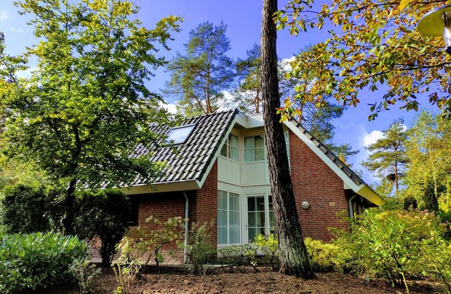 Beautiful 10-person house in the Veluwe with sauna, pet friendly