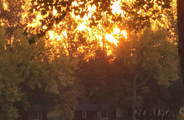 Beautiful 3 bedroom cabin east lost laken Great for kayaking, tubing , canoeing.