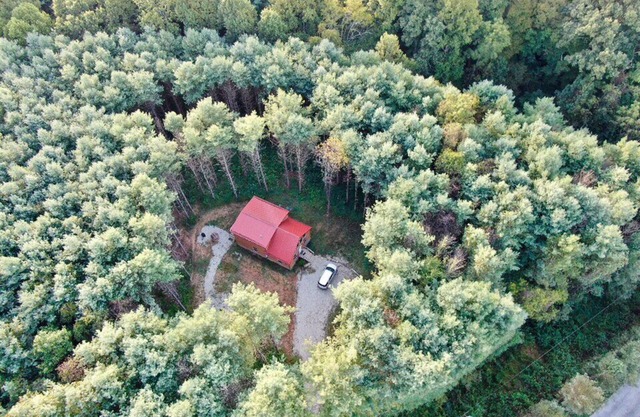 Beautiful 3 Bedroom cabin in the Pines