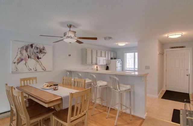 Beautiful Airy Mountain Vacation Condo