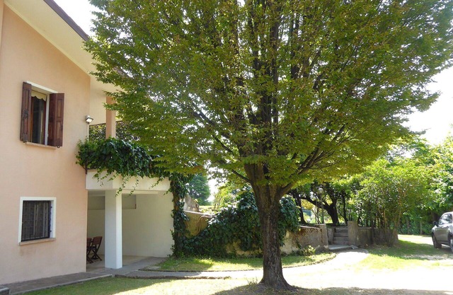 Beautiful apartment for 6 guests with A/C, WIFI and patio