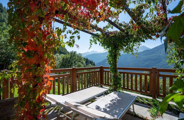 Beautiful apartment for 4 people with WIFI, TV, pets allowed and parking